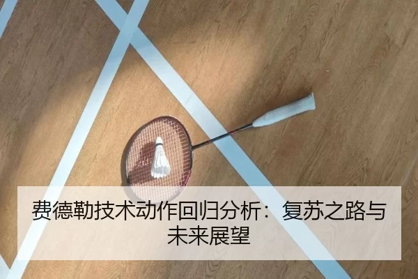 费德勒技术动作回归分析：复苏之路与未来展望