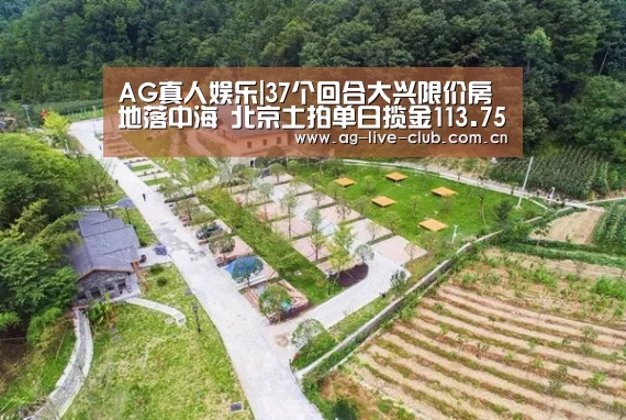 AG真人娱乐|37个回合大兴限价房地落中海 北京土拍单日揽金113.75亿!(图2) AG真人