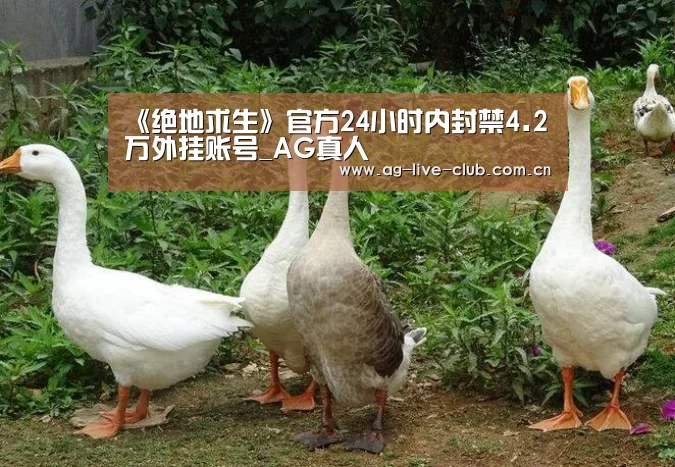 《绝地求生》官方24小时内封禁4.2万外挂账号_AG真人(图1) AG体育
