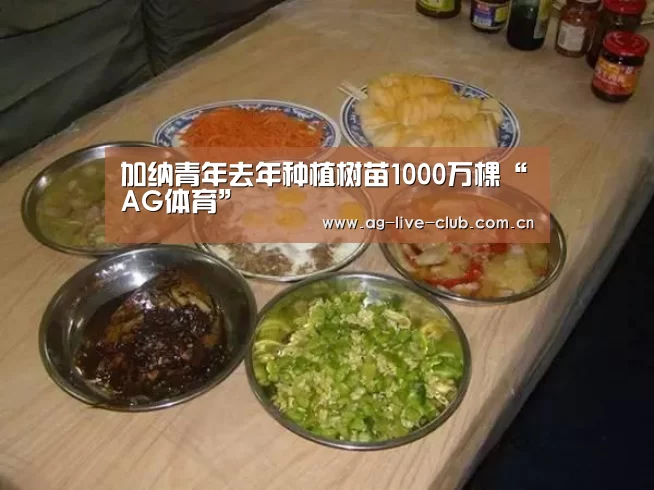 加纳青年去年种植树苗1000万棵“AG体育”(图3) AG体育