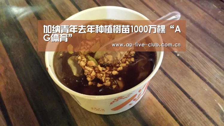 加纳青年去年种植树苗1000万棵“AG体育”(图2) AG体育