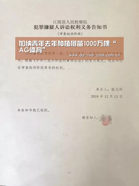 加纳青年去年种植树苗1000万棵“AG体育”(图1) AG真人娱乐
