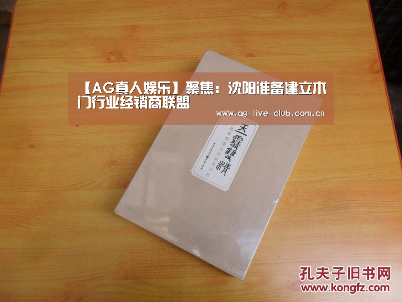 【AG真人娱乐】聚焦:沈阳准备建立木门行业经销商联盟(图3) AG真人