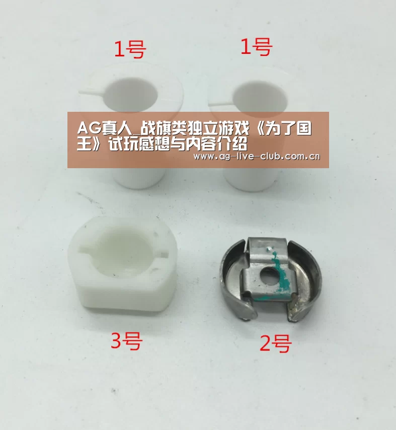 AG真人_战旗类独立游戏《为了国王》试玩感想与内容介绍(图2) AG真人