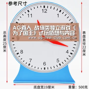 AG真人_战旗类独立游戏《为了国王》试玩感想与内容介绍(图4) AG亚游